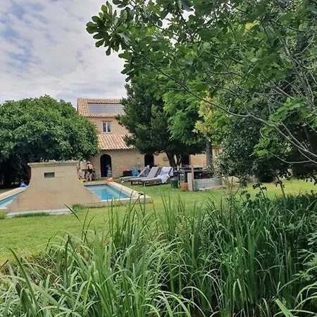 L'olivier - La Roseraie Du Val'ensoleille