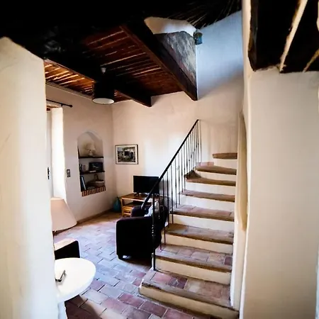 L'olivier - La Roseraie Du Val'ensoleille *