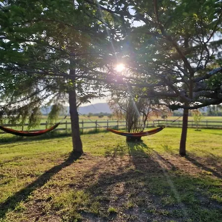 L'olivier - La Roseraie Du Val'ensoleille * וואלנסול