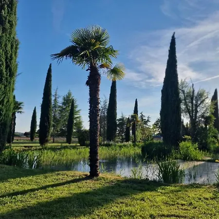Apartamento L'olivier - La Roseraie Du Val'ensoleillé